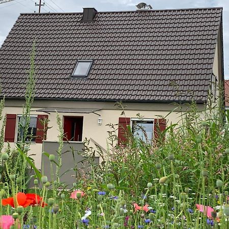 Ferienhaus Bei Lauingen, Mit Sauna Und Gartenlounge Veitriedhausen Kültér fotó