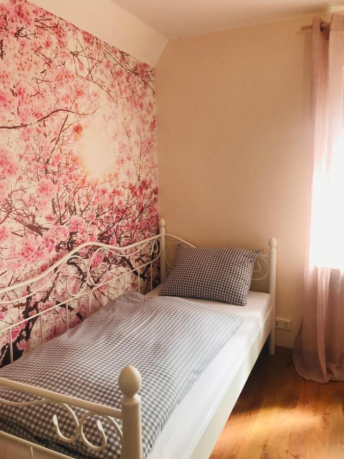 Ferienhaus Bei Lauingen, Mit Sauna Und Gartenlounge Veitriedhausen Kültér fotó