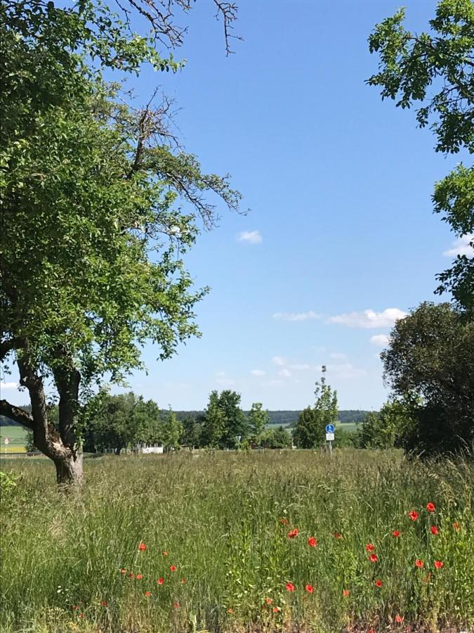 Ferienhaus Bei Lauingen, Mit Sauna Und Gartenlounge Veitriedhausen Kültér fotó