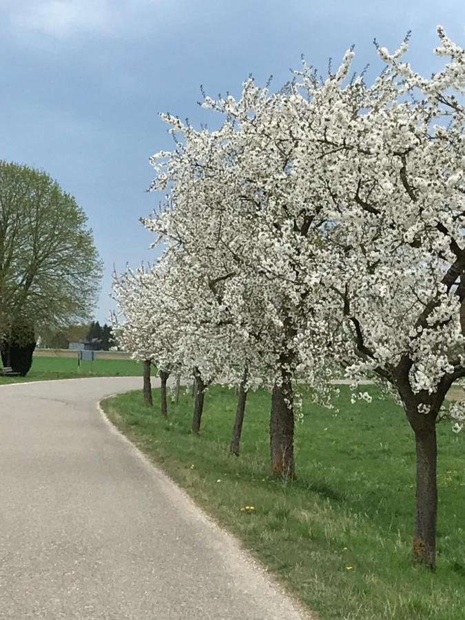 Ferienhaus Bei Lauingen, Mit Sauna Und Gartenlounge Veitriedhausen Kültér fotó