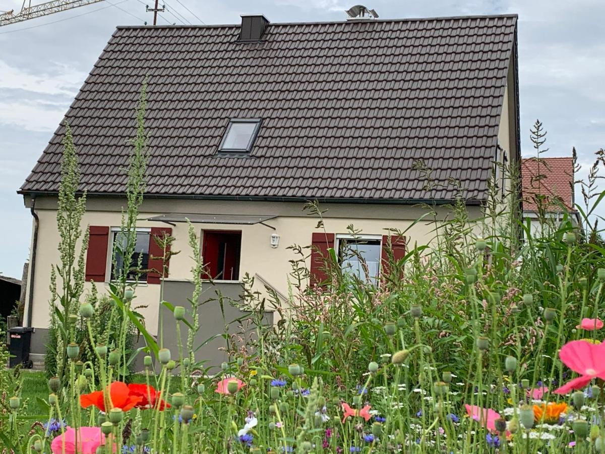 Ferienhaus Bei Lauingen, Mit Sauna Und Gartenlounge Veitriedhausen Kültér fotó